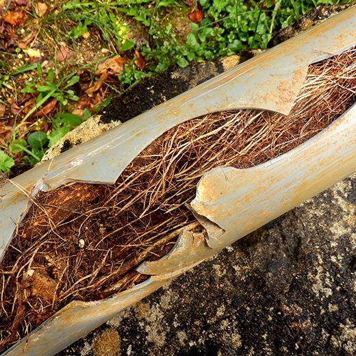The Drain & Sewer Professionals In Seaford